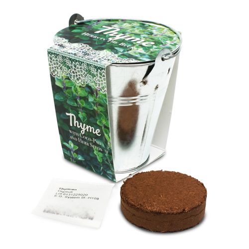 Krydderurter i spand - Billede 4